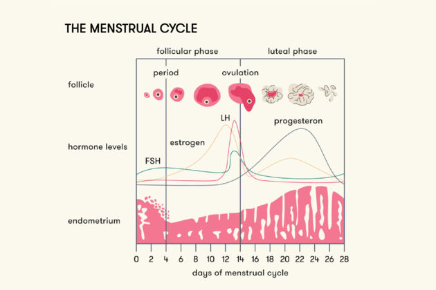 Will Taking A Bath Make Your Period End Faster